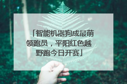 智能机器狗成最萌领跑员，平阳红色越野跑今日开赛