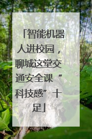 智能机器人进校园，聊城这堂交通安全课“科技感”十足