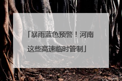 暴雨蓝色预警！河南这些高速临时管制