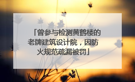 曾参与检测黄鹤楼的老牌建筑设计院，因防火规范疏漏被罚