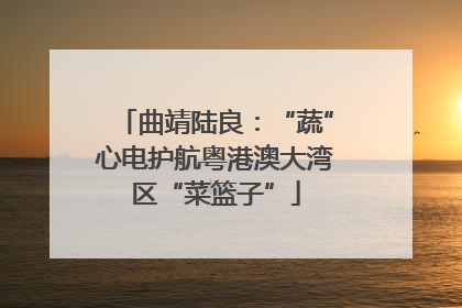 曲靖陆良：“蔬”心电护航粤港澳大湾区“菜篮子”