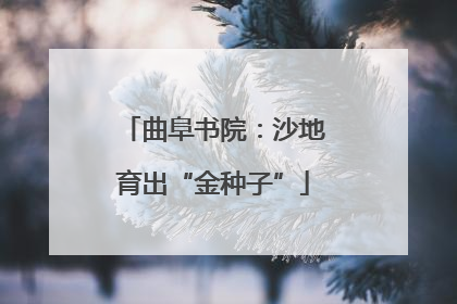 曲阜书院：沙地育出“金种子”