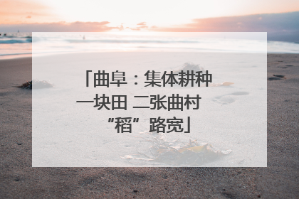 曲阜：集体耕种一块田 二张曲村“稻”路宽