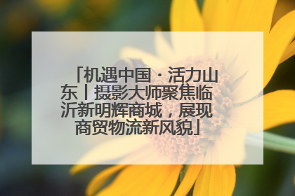 机遇中国・活力山东丨摄影大师聚焦临沂新明辉商城，展现商贸物流新风貌