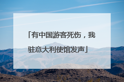 有中国游客死伤，我驻意大利使馆发声