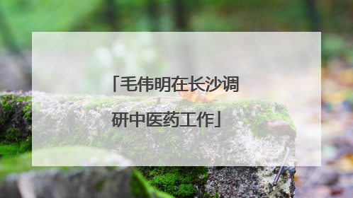 毛伟明在长沙调研中医药工作