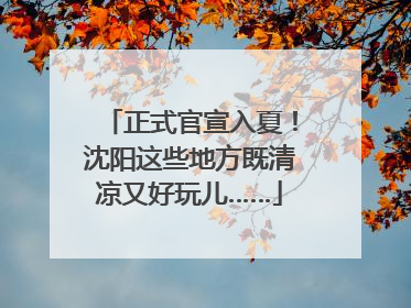 正式官宣入夏！沈阳这些地方既清凉又好玩儿……
