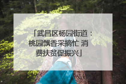 武昌区杨园街道：桃园飘香采摘忙 消费扶贫促振兴