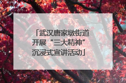 武汉唐家墩街道开展“三大精神”沉浸式宣讲活动