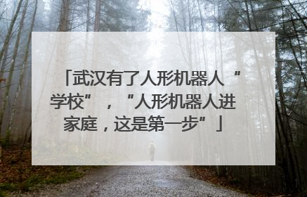 武汉有了人形机器人“学校”，“人形机器人进家庭，这是第一步”