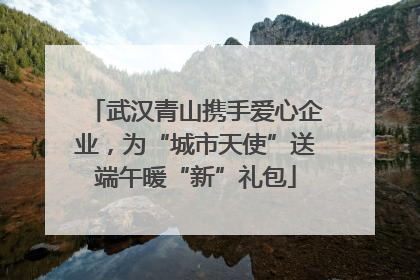 武汉青山携手爱心企业，为“城市天使”送端午暖“新”礼包