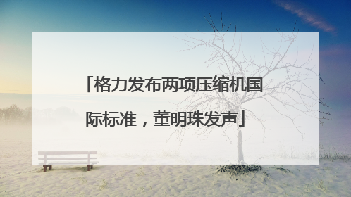 格力发布两项压缩机国际标准，董明珠发声
