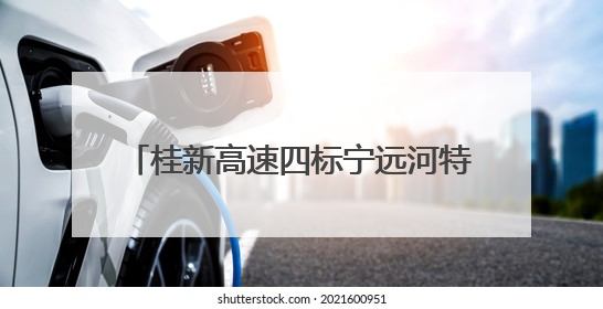 桂新高速四标宁远河特大桥、汤家坪1号桥预制T梁全部架设完成