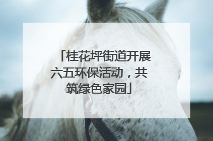 桂花坪街道开展六五环保活动，共筑绿色家园