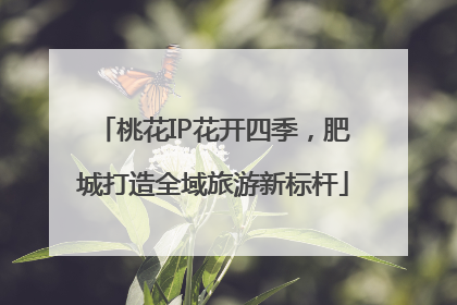 桃花IP花开四季，肥城打造全域旅游新标杆