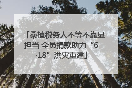 桑植税务人不等不靠显担当 全员捐款助力“6·18”洪灾重建