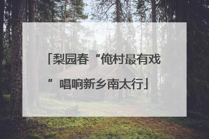 梨园春“俺村最有戏”唱响新乡南太行
