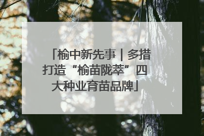 榆中新先事｜多措打造“榆苗陇萃”四大种业育苗品牌