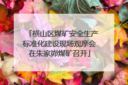 横山区煤矿安全生产标准化建设现场观摩会在朱家峁煤矿召开