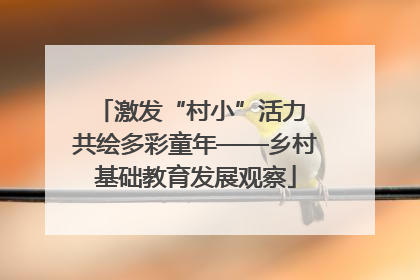 激发“村小”活力 共绘多彩童年——乡村基础教育发展观察