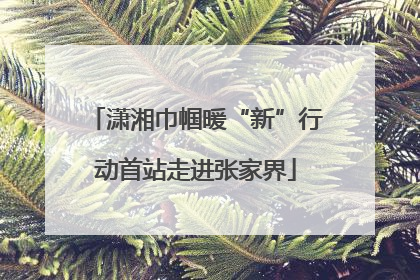 潇湘巾帼暖“新”行动首站走进张家界