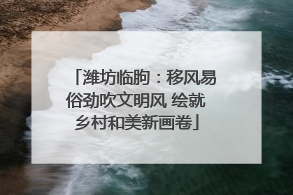 潍坊临朐：移风易俗劲吹文明风 绘就乡村和美新画卷