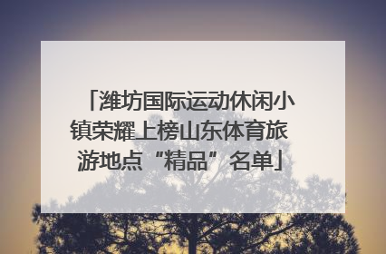 潍坊国际运动休闲小镇荣耀上榜山东体育旅游地点“精品”名单