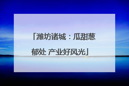 潍坊诸城：瓜甜葱郁处 产业好风光