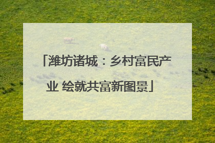 潍坊诸城：乡村富民产业 绘就共富新图景