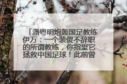 潘粤明炮轰国足教练伊万：一个装傻不辞职的所谓教练，你指望它拯救中国足球！此前曾多次发文评价国足