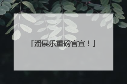 潘展乐重磅官宣！
