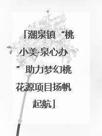 潮泉镇“桃小美·泉心办”助力梦幻桃花源项目扬帆起航
