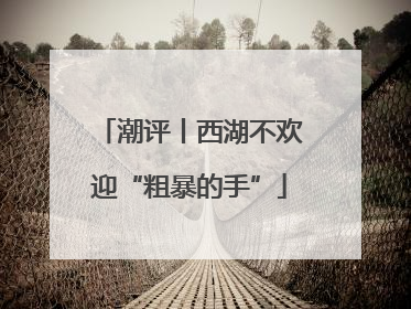 潮评丨西湖不欢迎“粗暴的手”