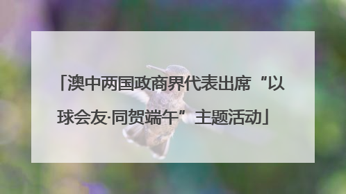 澳中两国政商界代表出席“以球会友·同贺端午”主题活动