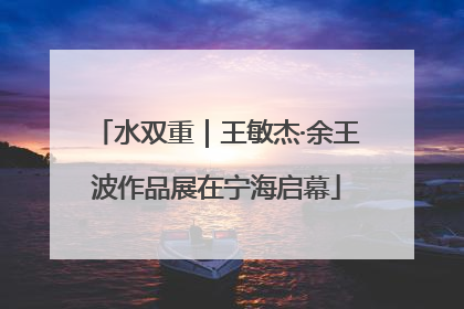 水双重｜王敏杰·余王波作品展在宁海启幕