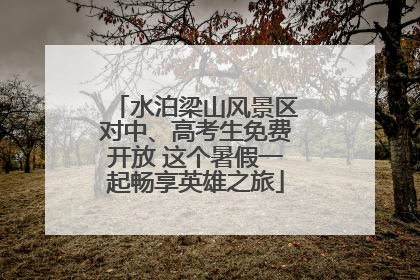 水泊梁山风景区对中、高考生免费开放 这个暑假一起畅享英雄之旅