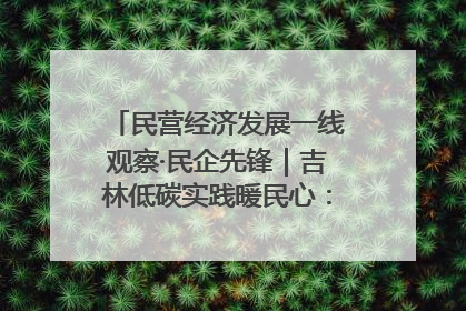 民营经济发展一线观察·民企先锋｜吉林低碳实践暖民心：太阳能供暖技术为北方清洁取暖破局