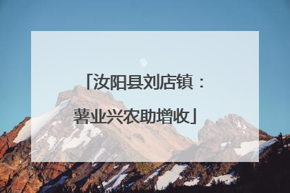 汝阳县刘店镇：薯业兴农助增收