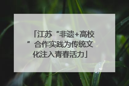 江苏“非遗+高校”合作实践为传统文化注入青春活力
