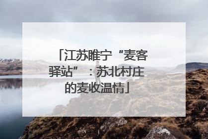 江苏睢宁“麦客驿站”：苏北村庄的麦收温情