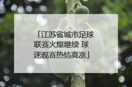 江苏省城市足球联赛火爆继续 球迷观赛热情高涨