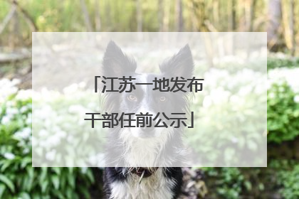 江苏一地发布干部任前公示