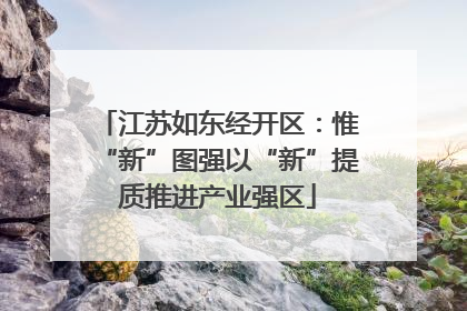 江苏如东经开区：惟“新”图强以“新”提质推进产业强区