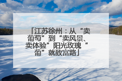 江苏徐州：从“卖葡萄”到“卖风景、卖体验”阳光玫瑰“葡”就致富路