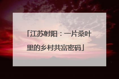 江苏射阳：一片桑叶里的乡村共富密码