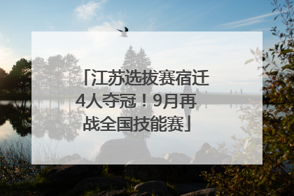 江苏选拔赛宿迁4人夺冠！9月再战全国技能赛