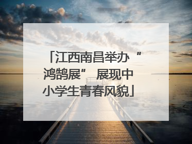 江西南昌举办“鸿鹄展” 展现中小学生青春风貌