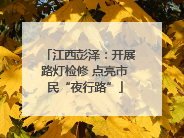 江西彭泽：开展路灯检修 点亮市民“夜行路”