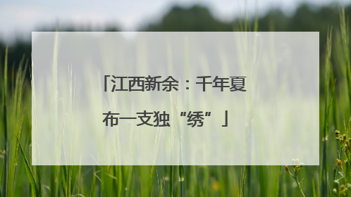 江西新余：千年夏布一支独“绣”