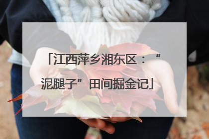 江西萍乡湘东区：“泥腿子”田间掘金记